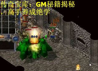 传奇宝库：GM秘籍揭秘，高手养成绝学