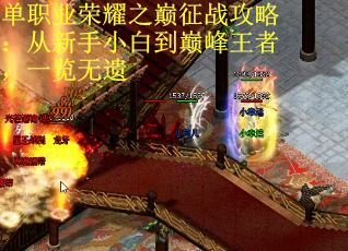 单职业荣耀之巅征战攻略：从新手小白到巅峰王者，一览无遗